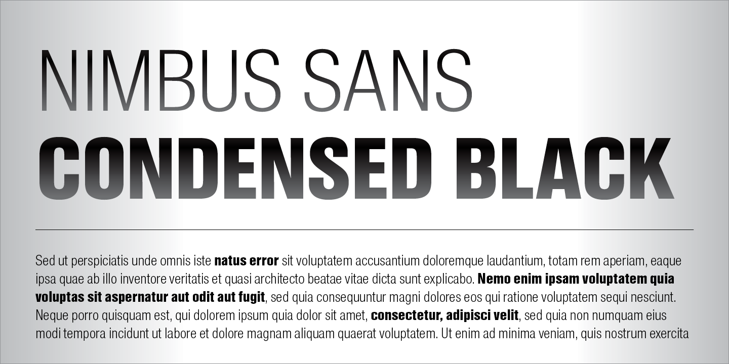 Przykład czcionki Nimbus Sans Bold Italic