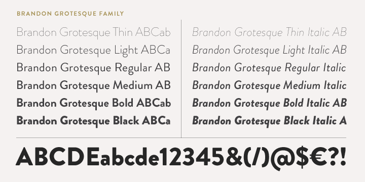Przykład czcionki Brandon Grotesque Light Italic