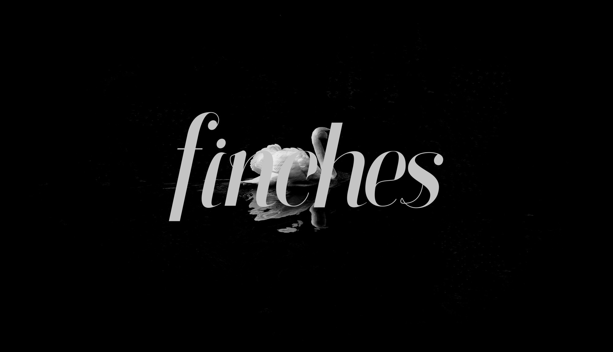 Przykład czcionki Finches