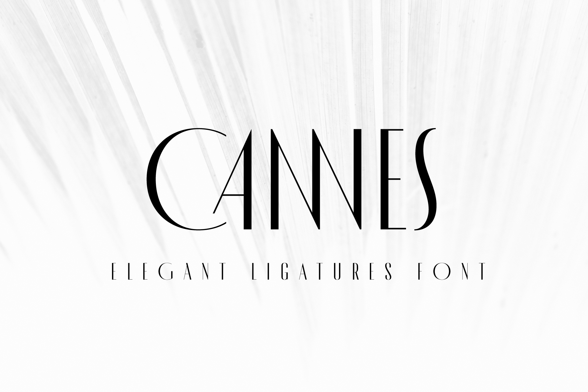 Przykład czcionki MADE Cannes