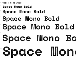 Przykład czcionki Space Mono Italic
