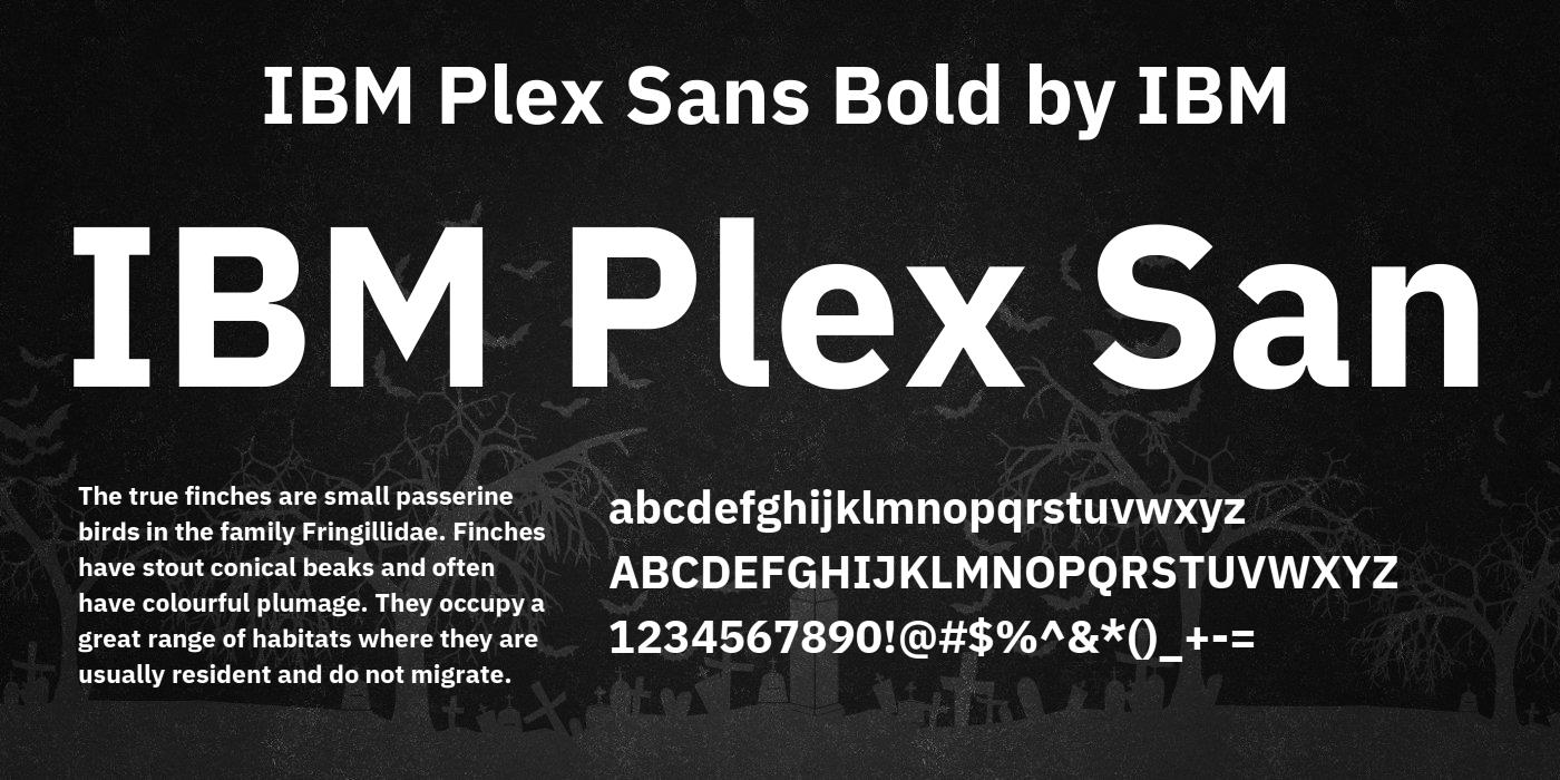 Przykład czcionki IBM Plex Sans