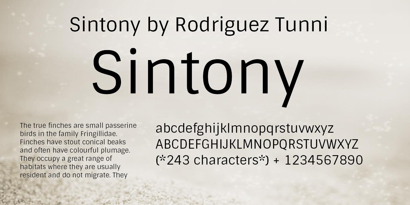 Przykład czcionki Sintony