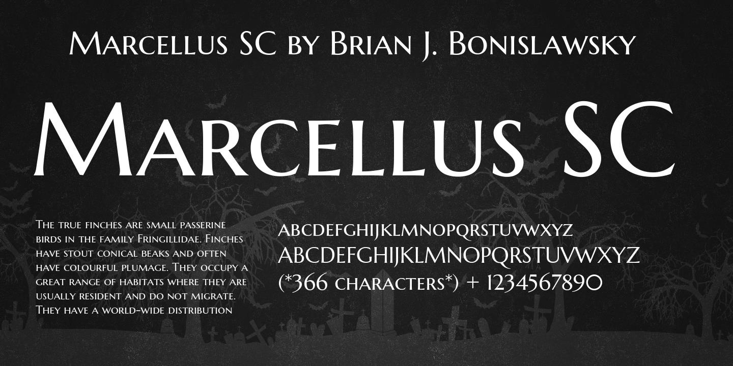 Przykład czcionki Marcellus SC