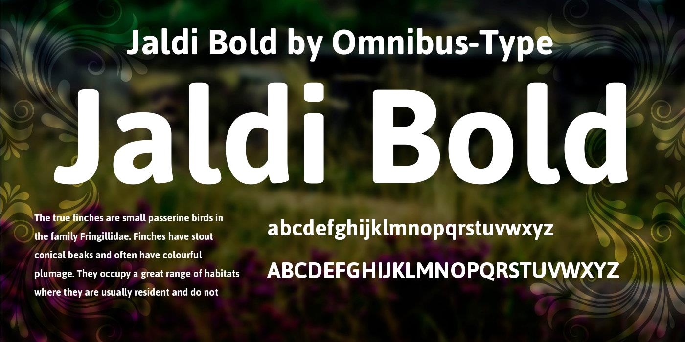 Przykład czcionki Jaldi Bold