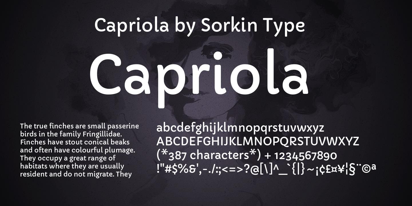 Przykład czcionki Capriola