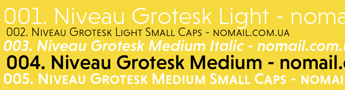 Przykład czcionki Niveau Serif Medium Italic