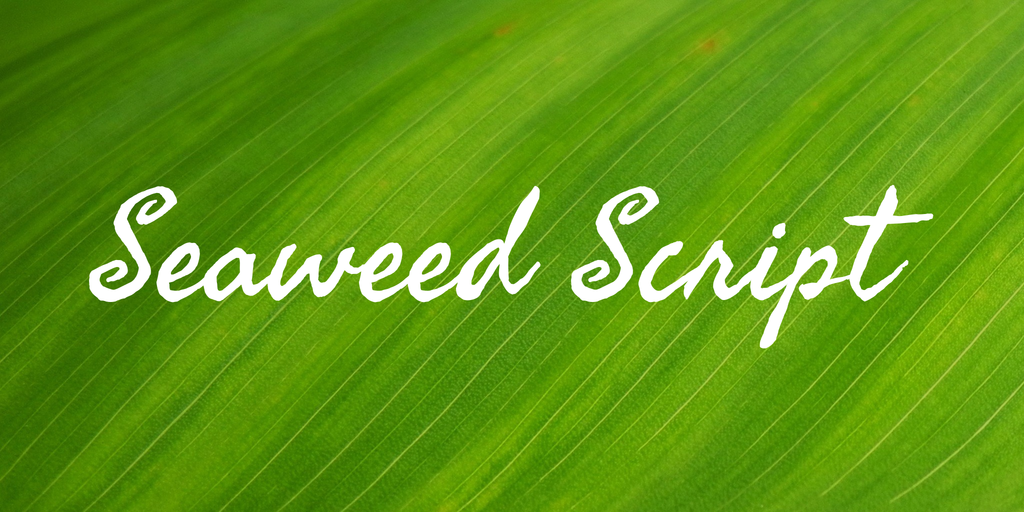 Przykład czcionki Seaweed Script