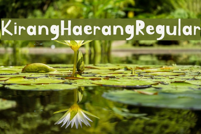Przykład czcionki Kirang Haerang Regular