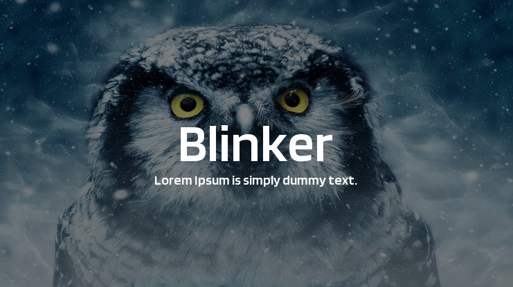 Przykład czcionki Blinker