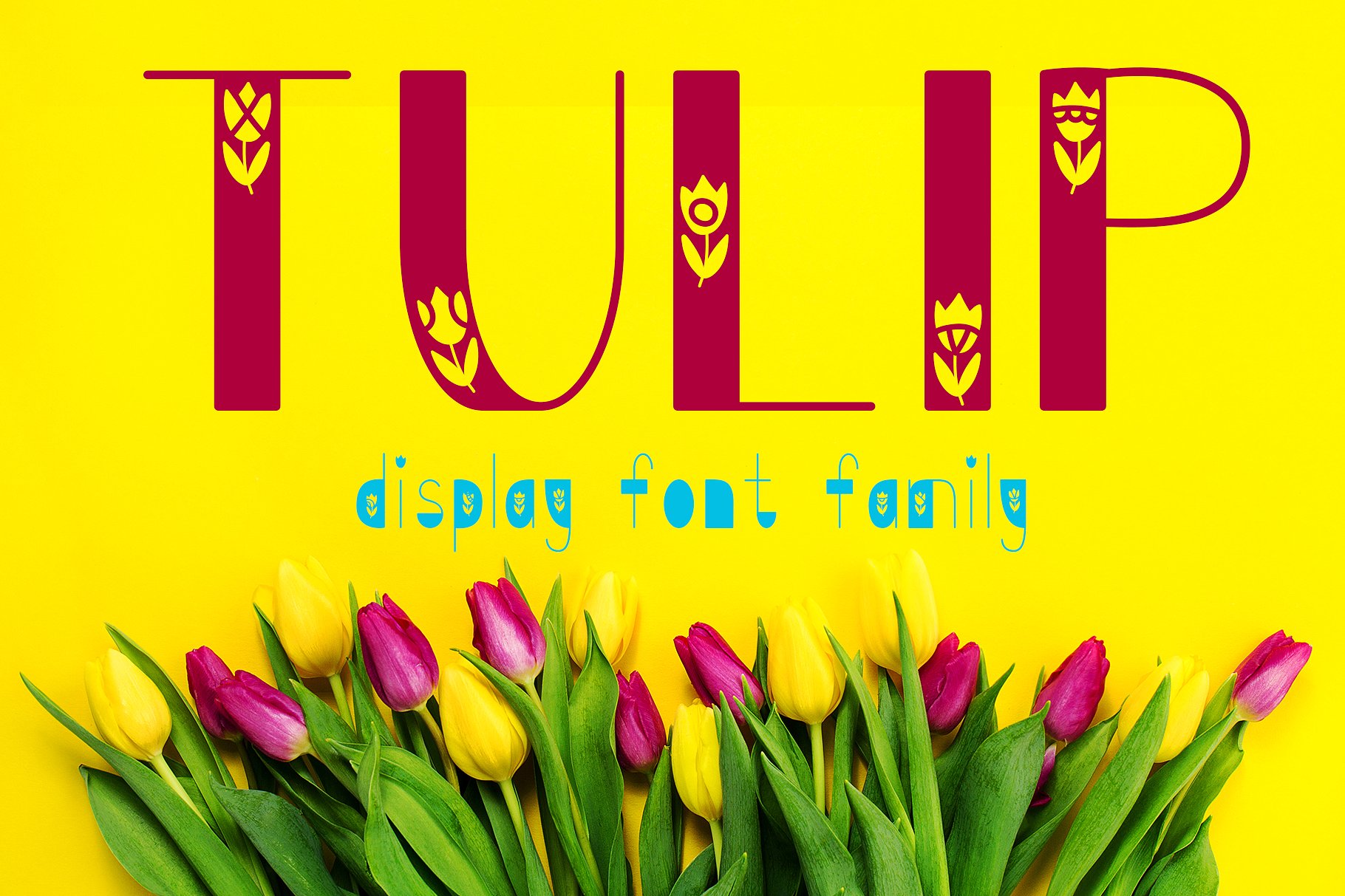 Przykład czcionki Tulip Regular