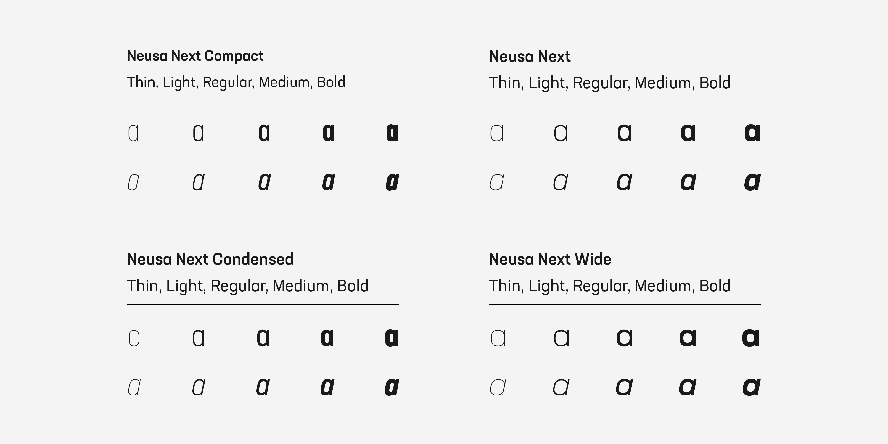 Przykład czcionki Neusa Next Pro Condensed Medium Italic