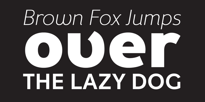 Przykład czcionki Fox Grotesque Pro Italic