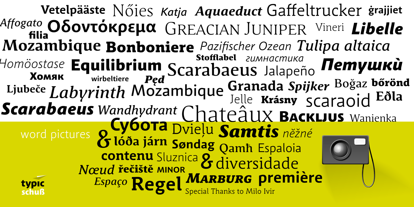 Przykład czcionki Schuss Sans Medium Italic