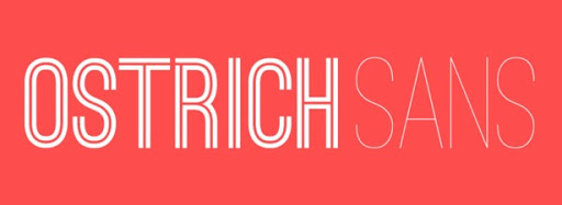 Przykład czcionki OSTRICH SANS Bold