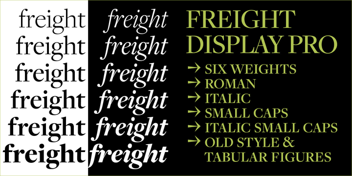 Przykład czcionki FreightDisp Pro Light Italic