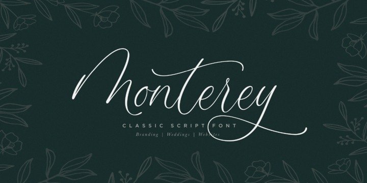 Przykład czcionki Monterey Script