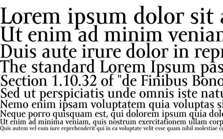 Przykład czcionki Amor Serif Text Pro Italic