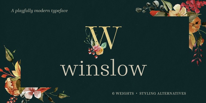 Przykład czcionki Winslow Book Regular