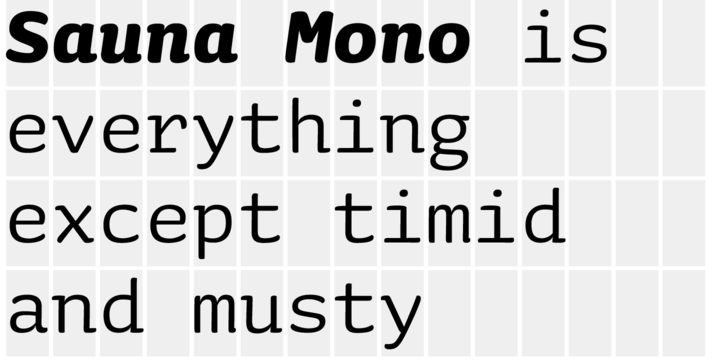 Przykład czcionki Sauna Mono Pro Regular Italic