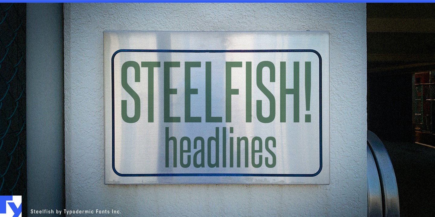 Przykład czcionki Steelfish Italic