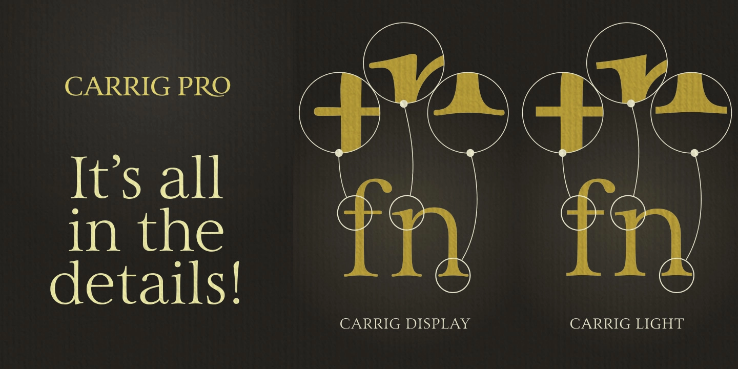 Przykład czcionki Carrig Pro Display Italic