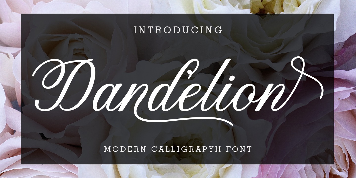 Przykład czcionki Dandelion Script