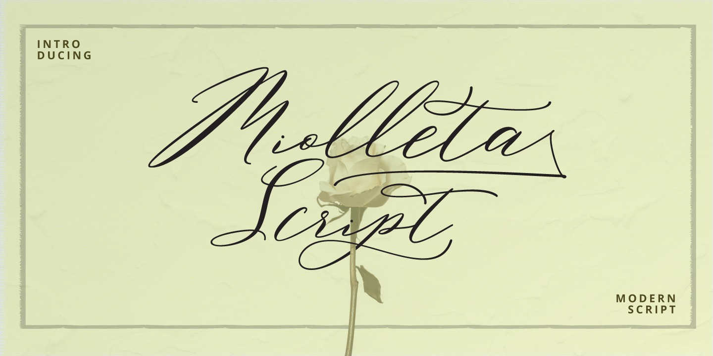 Przykład czcionki Miolleta Script Regular
