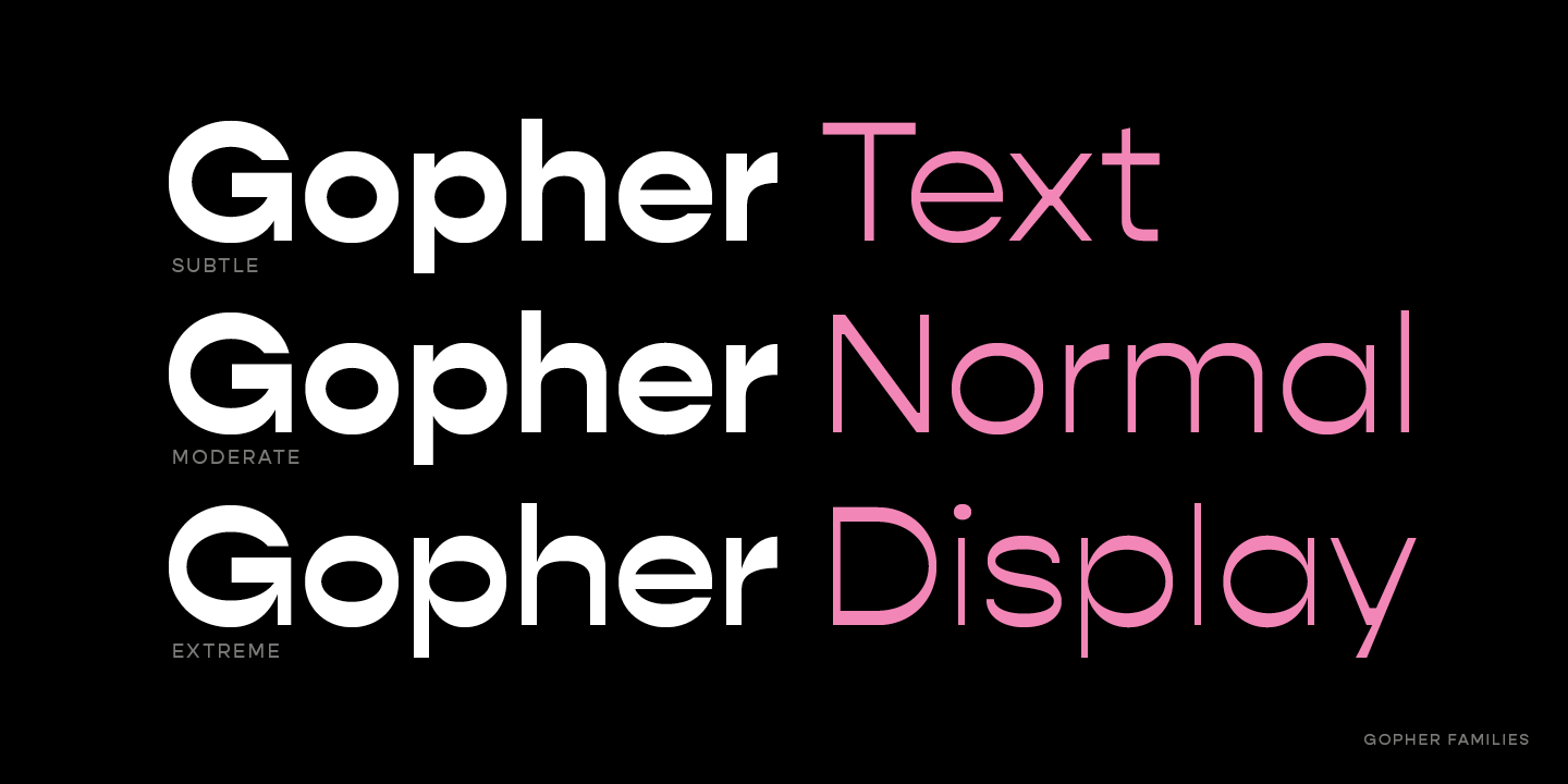 Przykład czcionki Gopher Display Thin Italic