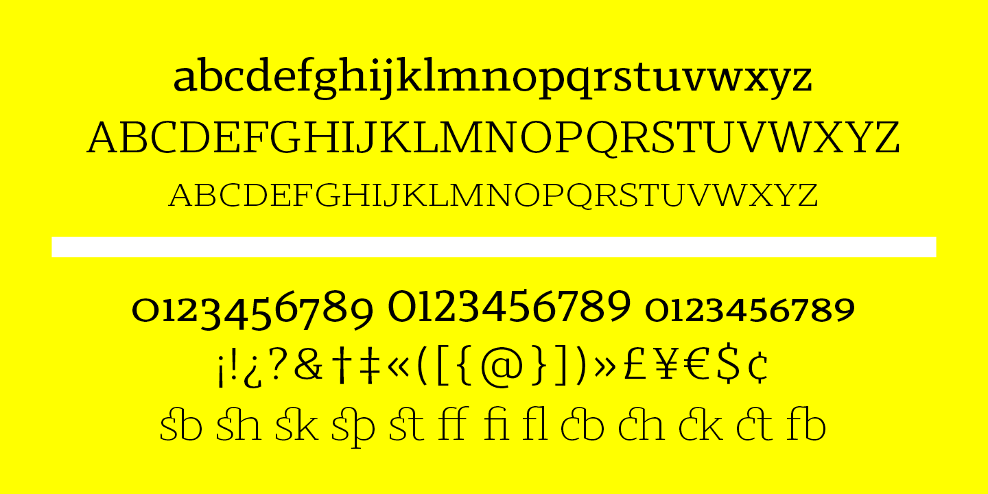Przykład czcionki Scharf Medium Italic