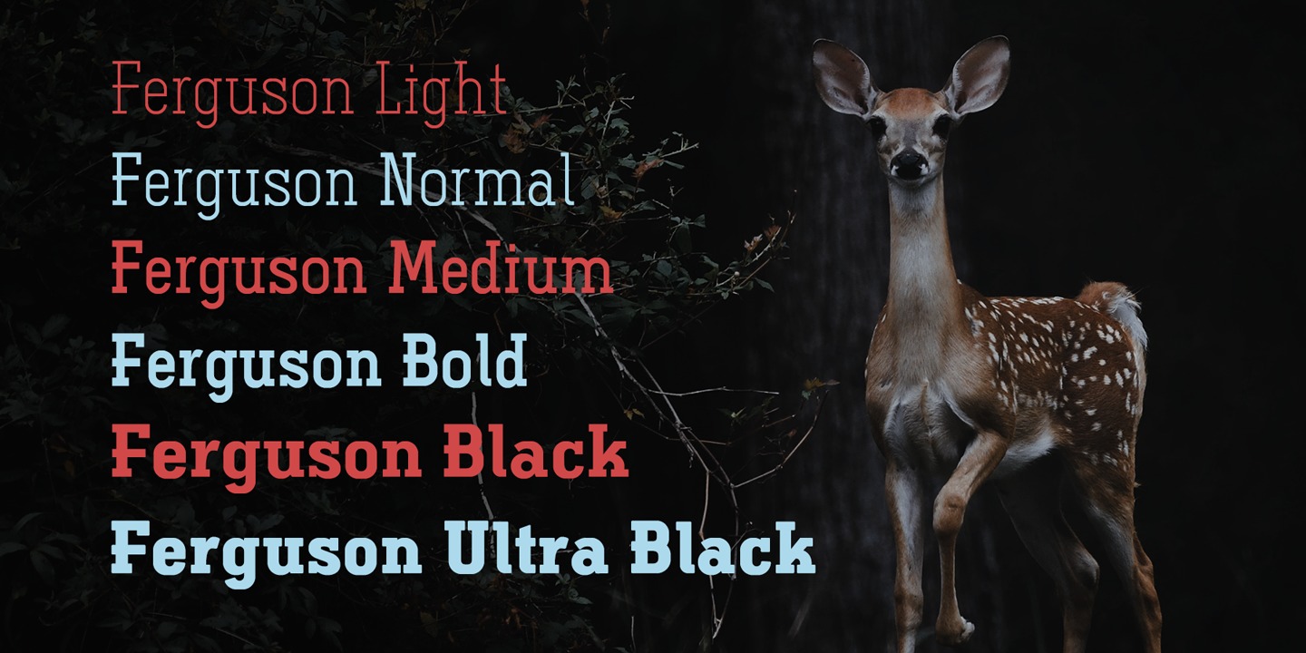 Przykład czcionki Ferguson Condensed Light Italic