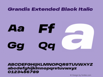 Przykład czcionki Grandis Extended Black Italic