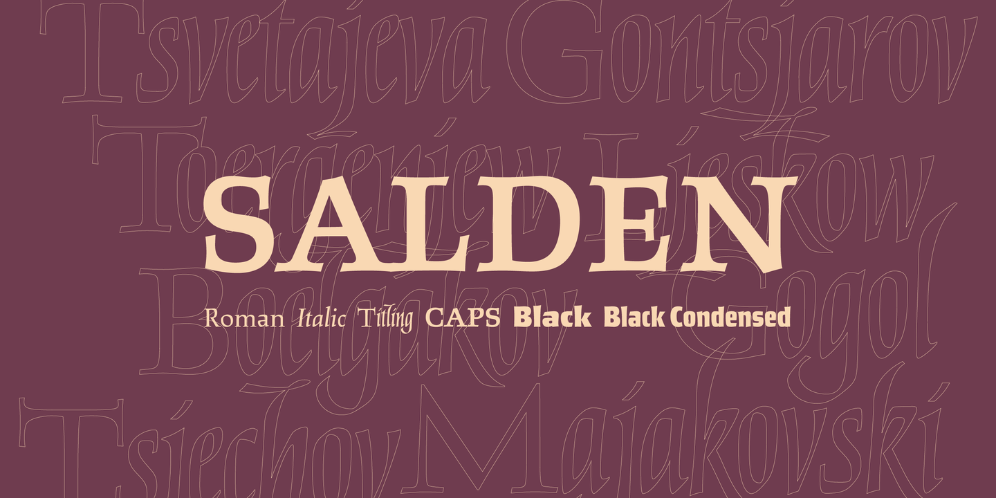 Przykład czcionki Salden