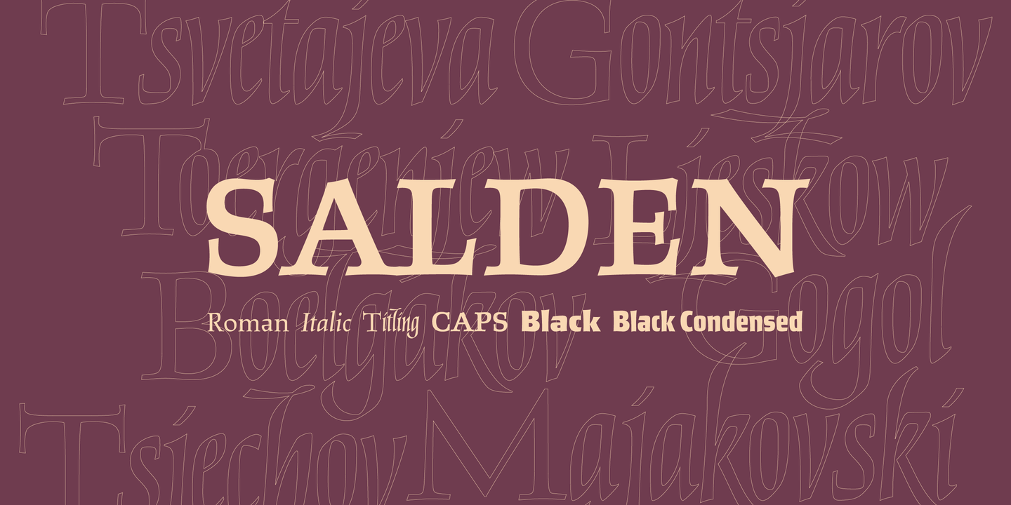 Przykład czcionki Salden Black Condensed