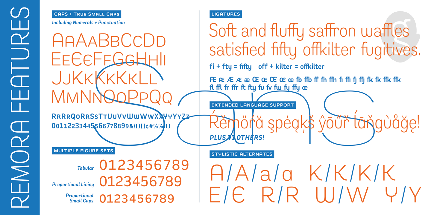Przykład czcionki Remora Sans W3 Medium Italic