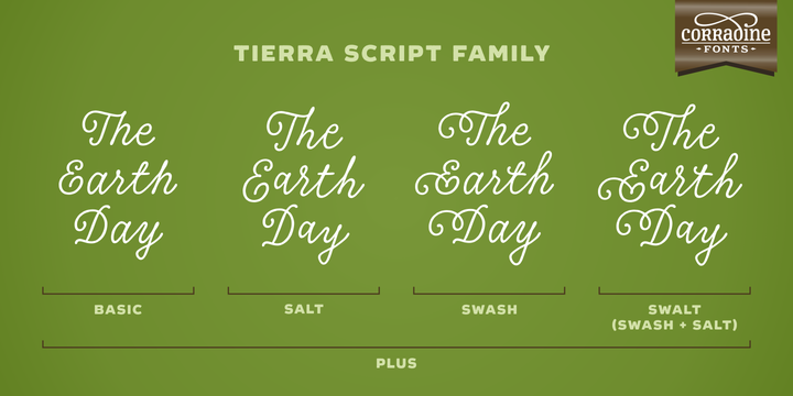 Przykład czcionki Tierra Script Regular