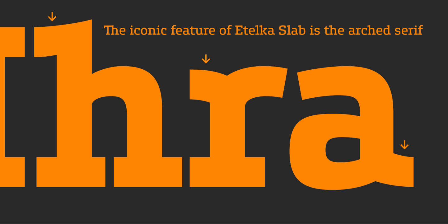 Przykład czcionki Etelka Slab Medium Italic