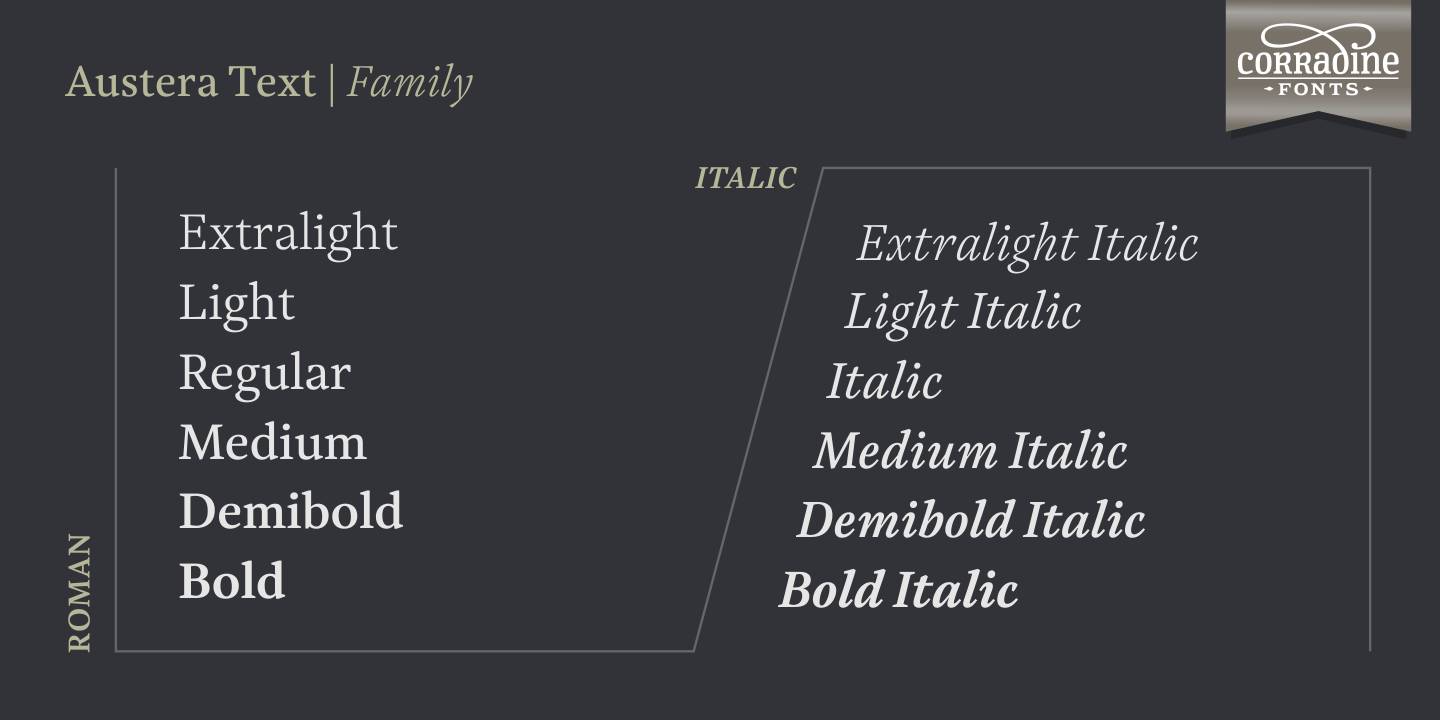 Przykład czcionki Austera Text Extra Light Italic