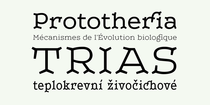 Przykład czcionki Leto Two Condensed Bold