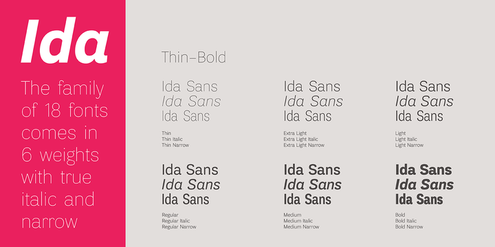 Przykład czcionki Ida Extra Light Italic