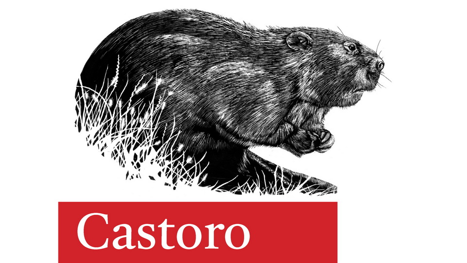 Przykład czcionki Castoro