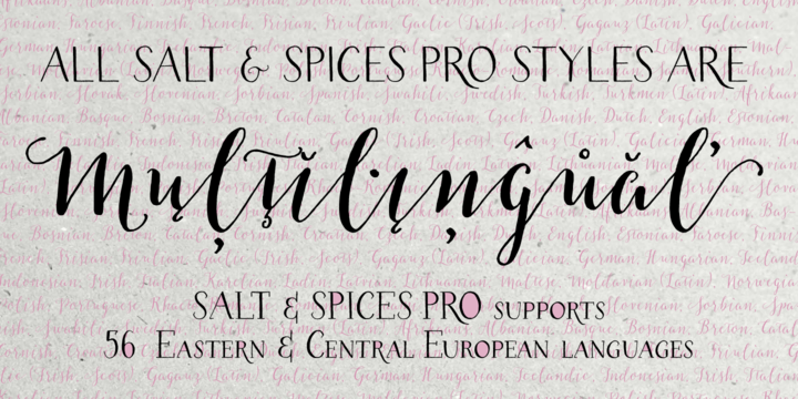 Przykład czcionki Salt & Spices Pro SC Serif 2