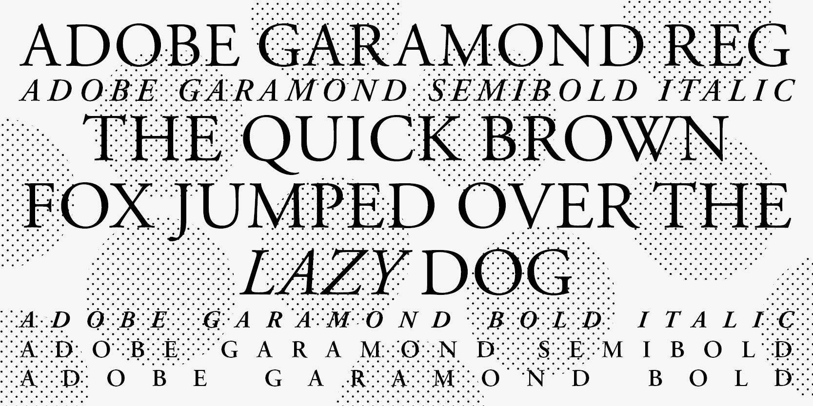 Przykład czcionki Adobe Garamond Pro Italic