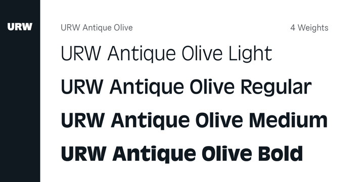 Przykład czcionki Antique Olive Compact