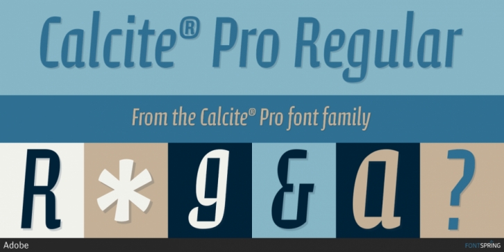 Przykład czcionki Calcite Pro