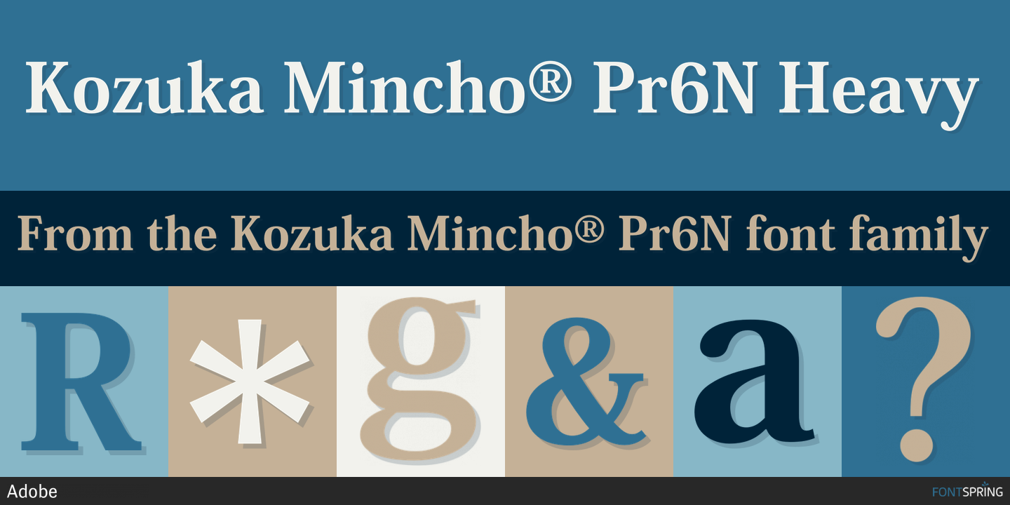 Przykład czcionki Kozuka Mincho Pr6N Light