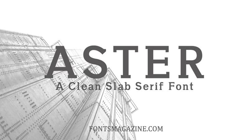 Przykład czcionki New Aster Bold Italic