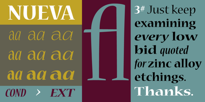 Przykład czcionki Nueva Extended Italic
