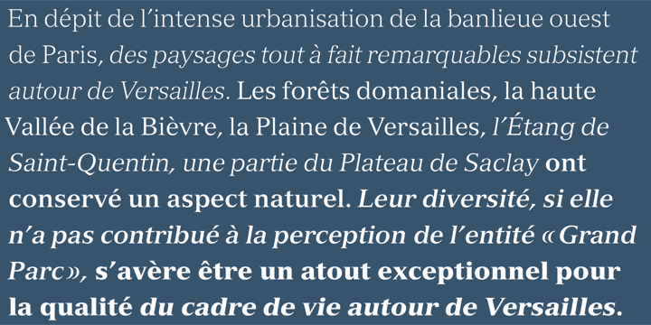 Przykład czcionki Versailles Light Italic