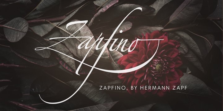 Przykład czcionki Zapfino Extra